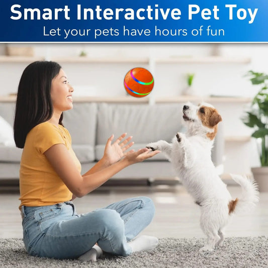 Does Your Pet Need Toys?