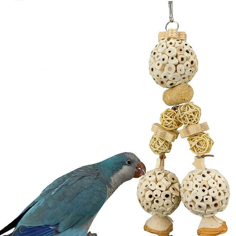 Parrot Molar Toy